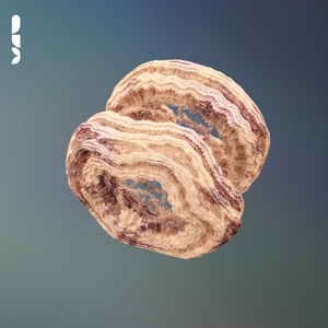 Fly With Me (VANITA Remix)