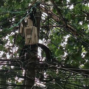 跟你走-G调伴奏