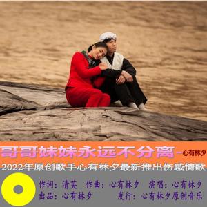 广场舞-哥哥妹妹永远不分离