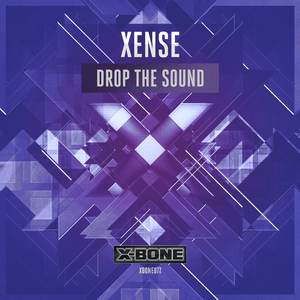 Drop The Sound (Original Mix)