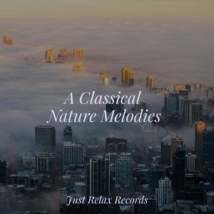 Tranquility's Melody