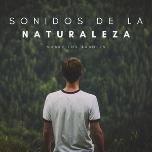Hojas De Meditación