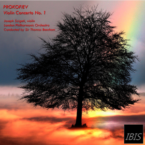 Violin Concerto No.1, Op.19: I. Andantino