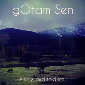 A little bird told me