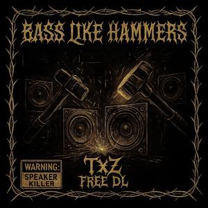 BASS LIKE HAMMERS
