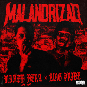 Malandrizao