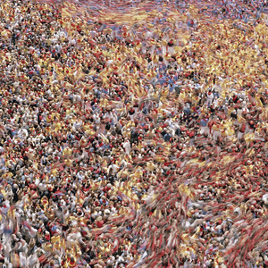 Муравейник