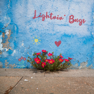 Lightnin' Bugs
