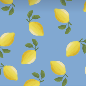 看的最远的地方