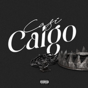 Casi caigo