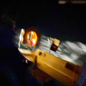2019