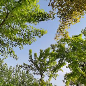 贺军泽作品《妈》(1)