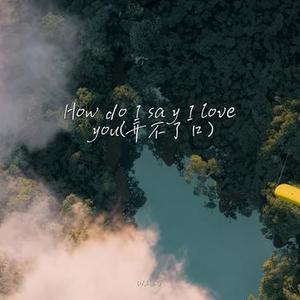 How do I say I love you (开不了口)