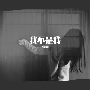 我不是我