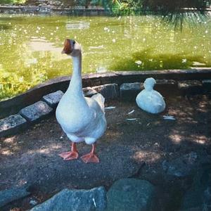 i stand here now, where i've stood before a thousand times