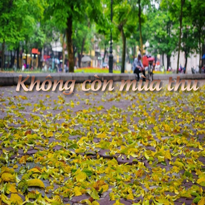 Nỗi nhớ mùa đông