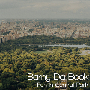 Fun In Central Park