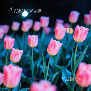 郁金香的十九夜 伴奏