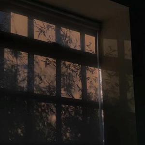 渐冷（吉他版）