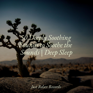 Cocoa Carnival Reverie