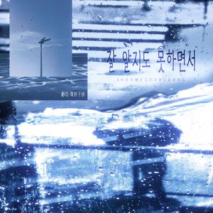 잘 알지도 못하면서（什么都不懂）