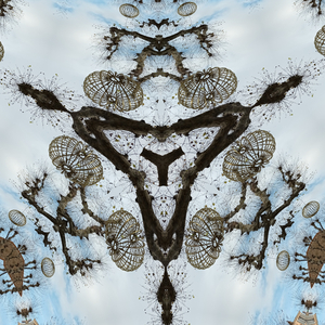 Learn the blend of physical and mental activities that has enchanted yoga practitioners all around the world for thousands of years