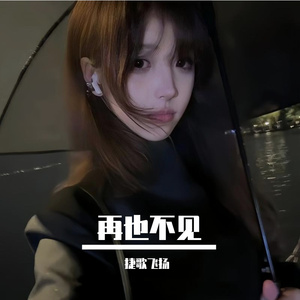 再也不见 伴奏