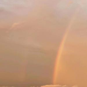 映山红-（DJ黎小江）