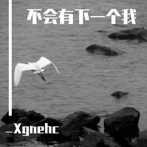 不会有下一个我