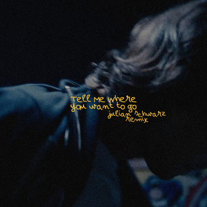 Tell me where you want to go (Julian Schwarz Remix)