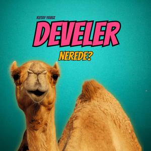 Develer Nerede?