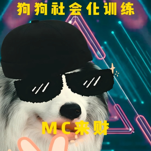 狗狗的鼓励式教育