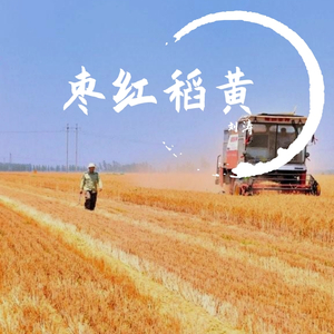 枣红稻黄