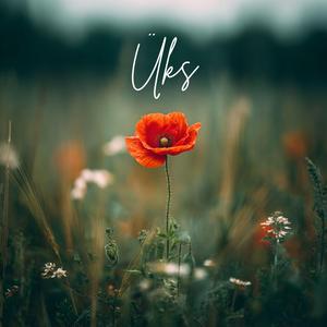 Üks (feat. Koit Toome)
