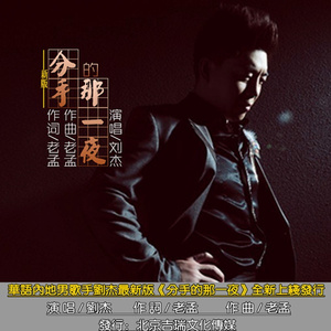 分手的那一夜 (新版伴奏)