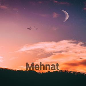 Mehnat
