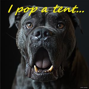 I pop a tent