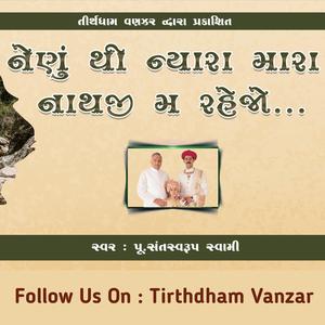 Vanzar Pratishtha Utsav 2019