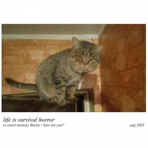 мой котан друган