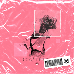 Cicatriz