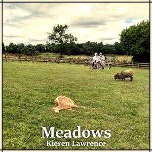 Meadows