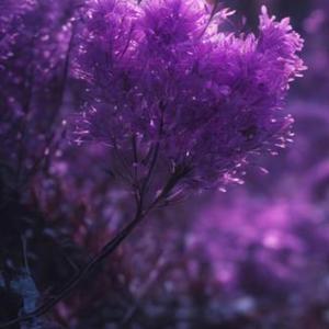 Czemu Ty? (feat. MaRy)