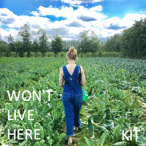 Won't Live Here (Acoustic Cover)