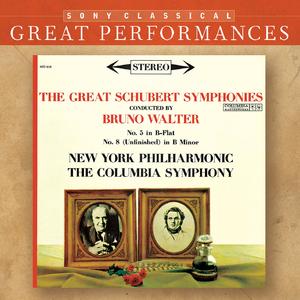 Symphony No. 5 in B-Flat Major, D. 485:III. Menuetto. Allegro molto