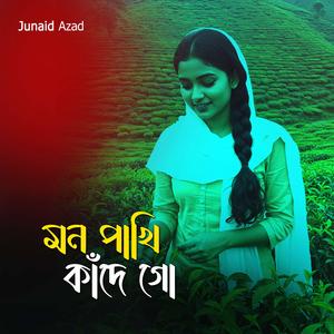 মন পাখি কাঁদে গো