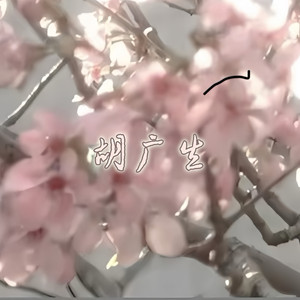 胡广生·2025(0.8X)