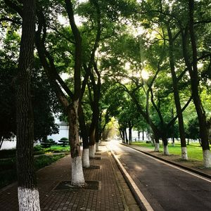 捧花见你的路上