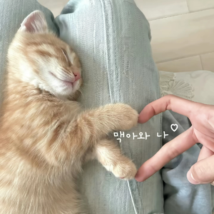 不能因为回忆 忘了分开的原因