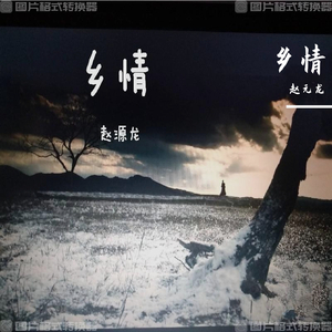 我的中国心-赵源龙（翻自 张明敏）