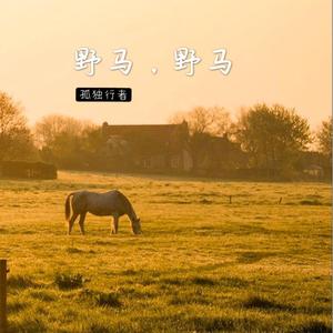 野马，野马